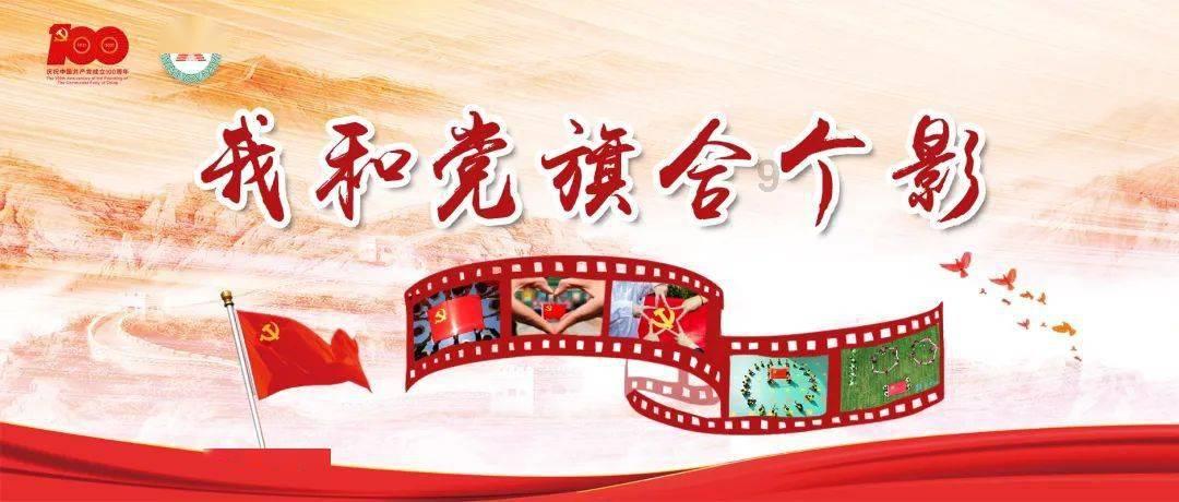 对违犯党纪的党组织的处理规定